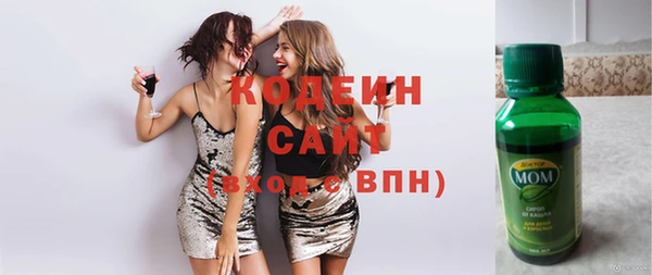 молекула духа Арсеньев