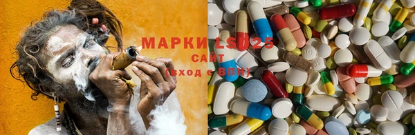 молекула духа Арсеньев