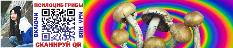 Галлюциногенные грибы Magic Shrooms Новоалтайск